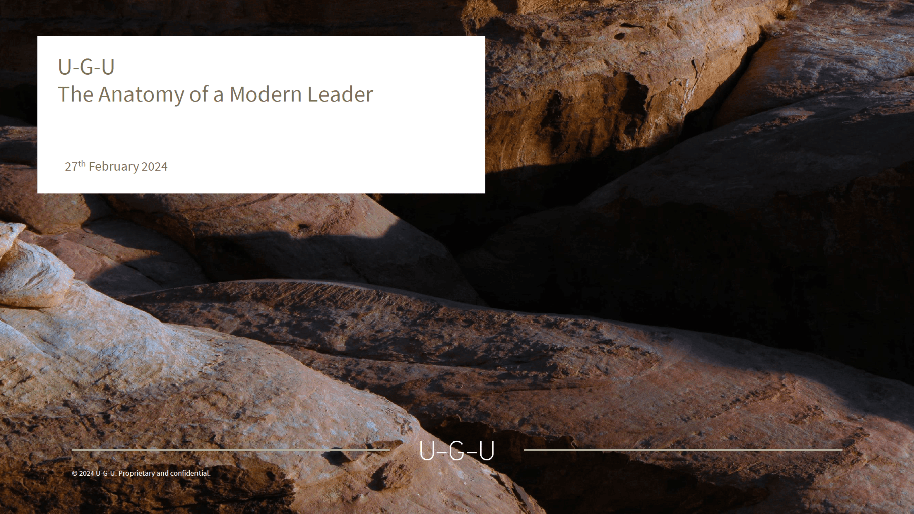 The Anatomy of a Modern Leader